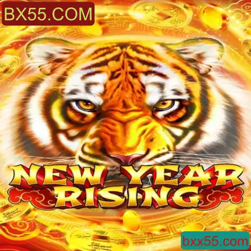 Explorando o Universo de NewYearRising